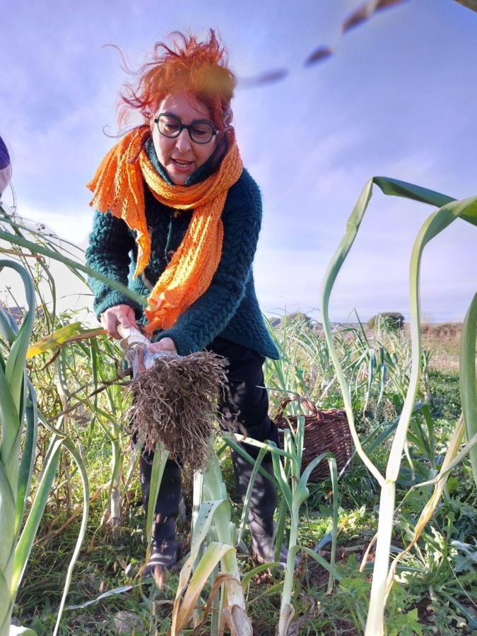 Turismo Rural La Ojinegra Alloza Eksteriør billede